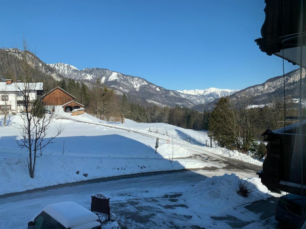 Alpenblick Suite Bad Goisern Ngoại thất bức ảnh